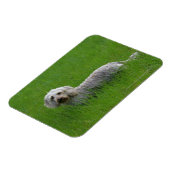 線毛の標準ダックシュントinグラス マグネット (左側)