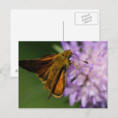 線状胸腺痛 ポストカード (正面/裏面)