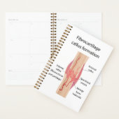 線維軟骨カルス形成 プランナー手帳 (ディスプレー)