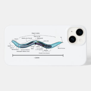 線虫ハーマフロディタイトカエノラブディティスエレガンス Case-Mate iPhone 14ケース
