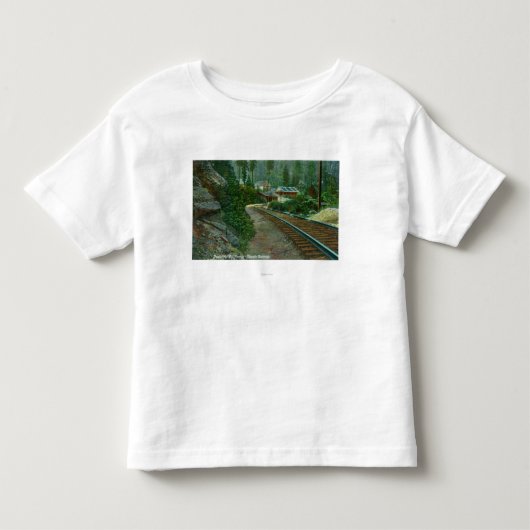 線路からのShastaの退去の外観 トドラーTシャツ (正面)