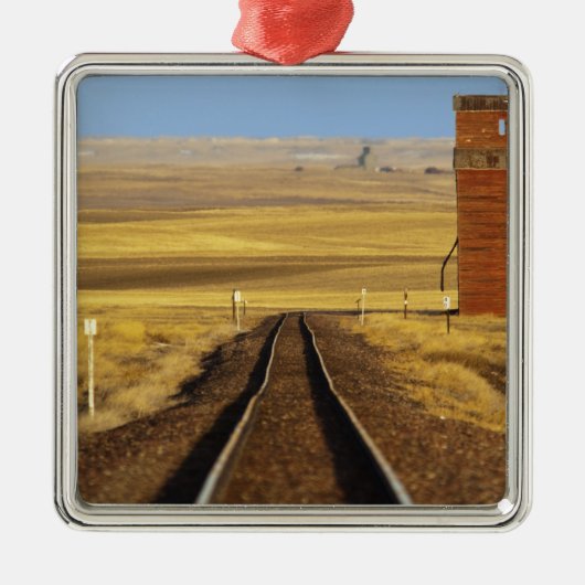 線路はコリンズの古い花崗岩につながる メタルオーナメント (正面)