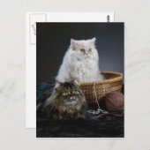編み物ウーおもしろいルの誕生日の毛皮ペルシャ猫 ポストカード (正面/裏面)