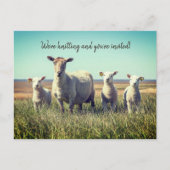 編み物クラブラムズヒツジ招待状ハガキ ポストカード (正面)