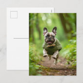 編み物犬服を着たフレンチブルドッグ シーズンポストカード (正面/裏面)