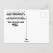 編み素晴らし込み湿地はがき ポストカード (裏面)