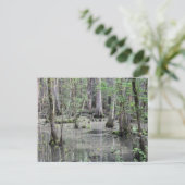 編み素晴らし込み湿地はがき ポストカード (スタンド正面)