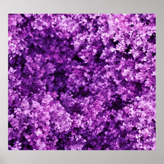 編実在織、テクスチャ付き背景。 ポスター (正面)