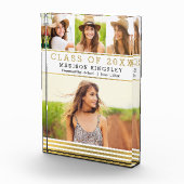 編集ストライプ可能な色の目盛ブロック フォトブロック (右)