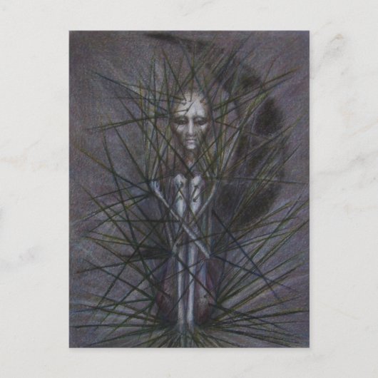 編集不可 ポストカード (正面)