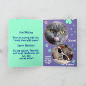 編集可能いたずらゲイクルーズ誕生日、おもしろい猫写真 カード (内部)