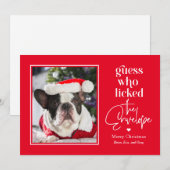 編集可能なカラーのクリスマス ホリデー カード - 役立つペット (正面/裏面)