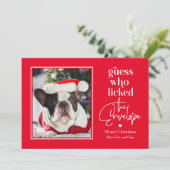 編集可能なカラーのクリスマス ホリデー カード - 役立つペット (スタンド正面)