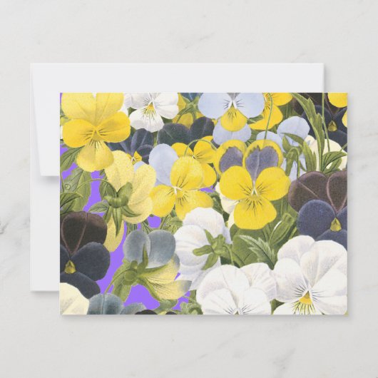 編集可能なフローラスミレとパンジーパターン ノートカード (裏面)