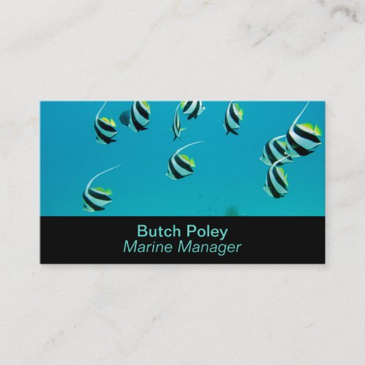 編集可能な水槽 名刺 (正面)