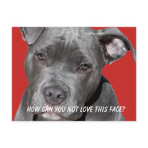 編集可能な黒のピットブル