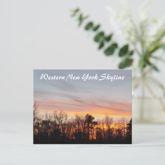 編集可能バッファローイメージ ポストカード (スタンド正面)