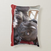 編集可能ベビーのピットブルの子犬 アクセントクッション (裏面(縦))