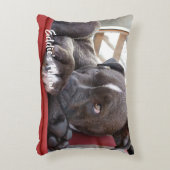 編集可能ベビーのピットブルの子犬 アクセントクッション (正面(垂直))