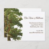 編集可能ヴィンテージオークツリー新しい住所ノートカード ノートカード (正面/裏面)