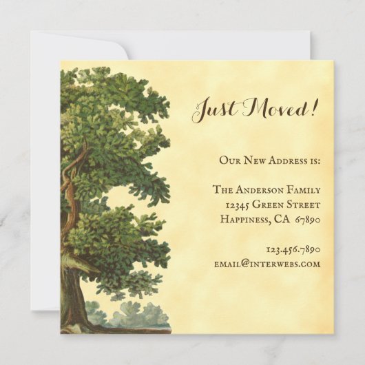 編集可能ヴィンテージオークツリー移動した正方形 ノートカード (正面)