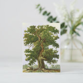 編集可能ヴィンテージオークツリー葉書 ポストカード (スタンド正面)