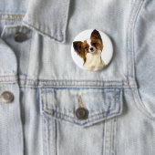 編集可能背景Pilで隔離されるPapillonの子犬 缶バッジ (インサイチュ)