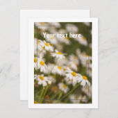 編集可能自然カード シーズンカード (正面/裏面)