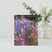 編集可能自然カード シーズンカード (スタンド正面)