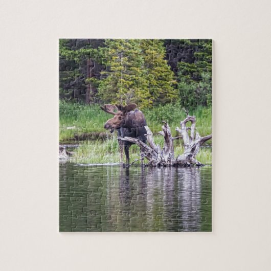 緩いアメリカヘラジカ ジグソーパズル (縦)