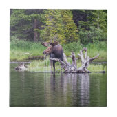 緩いアメリカヘラジカ タイル (正面)