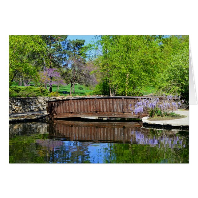 緩い公園、カンザスシティの開花の藤 (正面横)