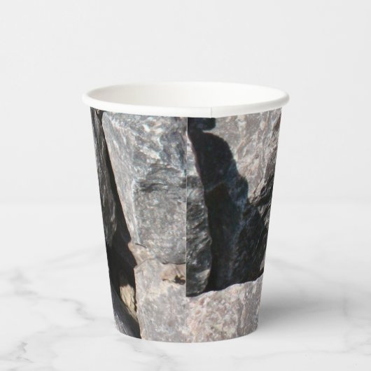 緩い花崗岩 紙コップ (右)