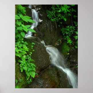 緩やかな成長 ポスター