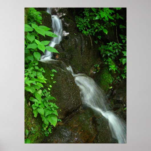 緩やかな成長 ポスター (正面)