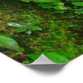 緩やかな成長 ポスター (角)