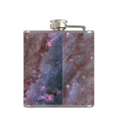 緩和曲線詳細M83からの銀河系 フラスク (裏面)