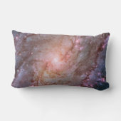 緩和曲線詳細M83からの銀河系 ランバークッション (裏面)