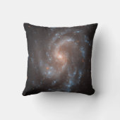 緩和曲線銀河系Ngc 5584 クッション (裏面)