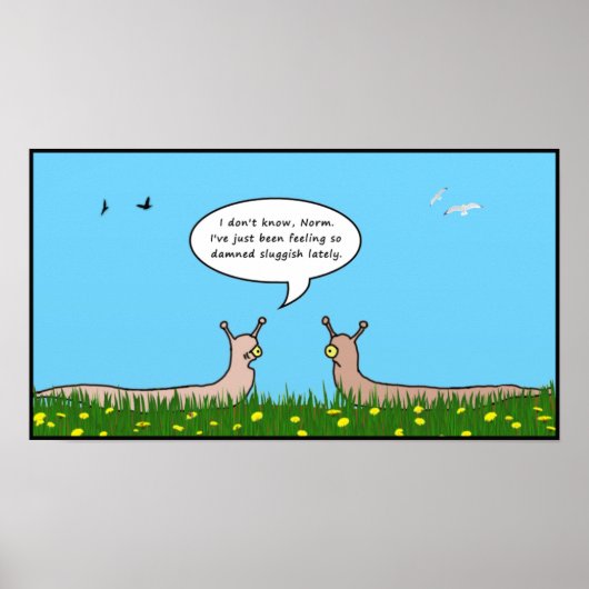 緩慢なポスター ポスター (正面)