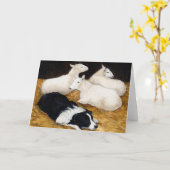 「縁どコリーと羊」犬アートのグリーティングカード カード (黄色い花)