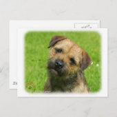 縁どテリア9W009D-127 ポストカード (正面/裏面)