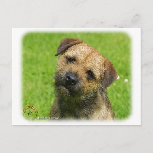 縁どテリア9W009D-127 ポストカード (正面)