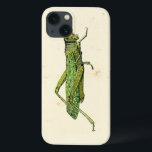 縁どプリント iPhone 13ケース<br><div class="desc">このライム縁どプリントは、クリームの背景に緑色のバッタを備えている。ヴィジョンスタジオオリジナルは、あなたの素晴らし人生の昆虫や自然愛好家のためのギフトを作る!</div>