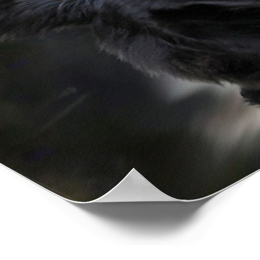 縁どポスター ポスター (角)