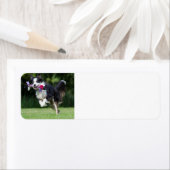 縁どランニングコレイのおもちゃ ラベル (インサイチュ)