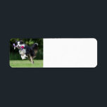 縁どランニングコレイのおもちゃ ラベル<br><div class="desc">bc</div>