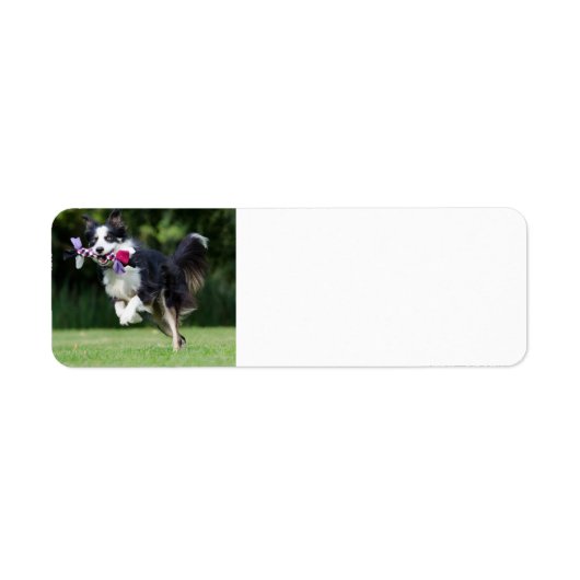 縁どランニングコレイのおもちゃ ラベル (正面)