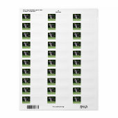 縁どランニングコレイのおもちゃ ラベル (フルシート)