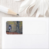 縁どランニング林のコリー ラベル (インサイチュ)